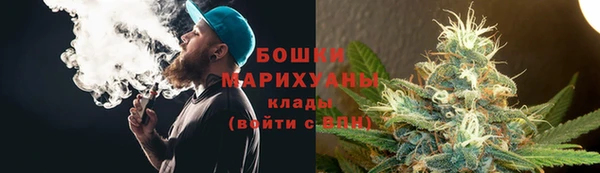 гашик Белокуриха