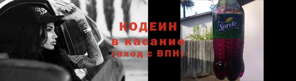 гашик Белокуриха