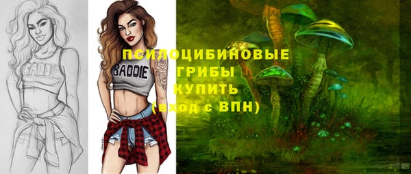 гашик Белокуриха