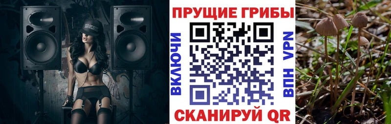 Галлюциногенные грибы Psilocybine cubensis  что такое наркотик  Красноармейск 